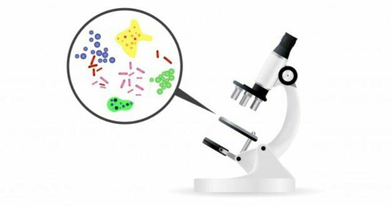 Freepik/katemangostar