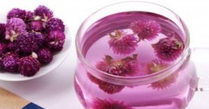 orientalteastore.com