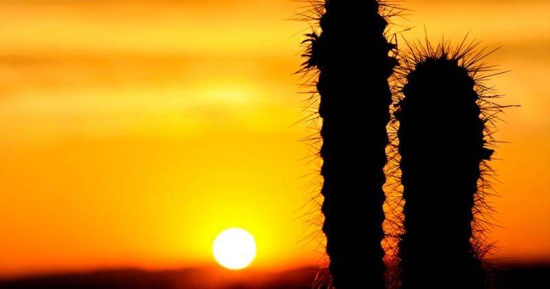 flickr.com/Beto Frota