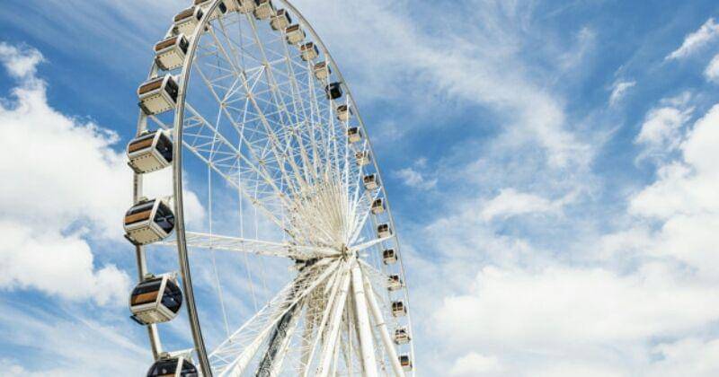 Freepik/Rawpixel.com