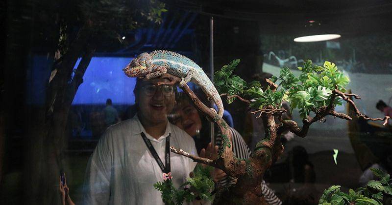 Popmama.com/Novy Agrina