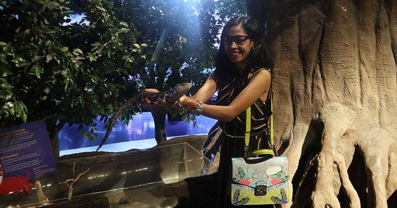 Popmama.com/Novy Agrina