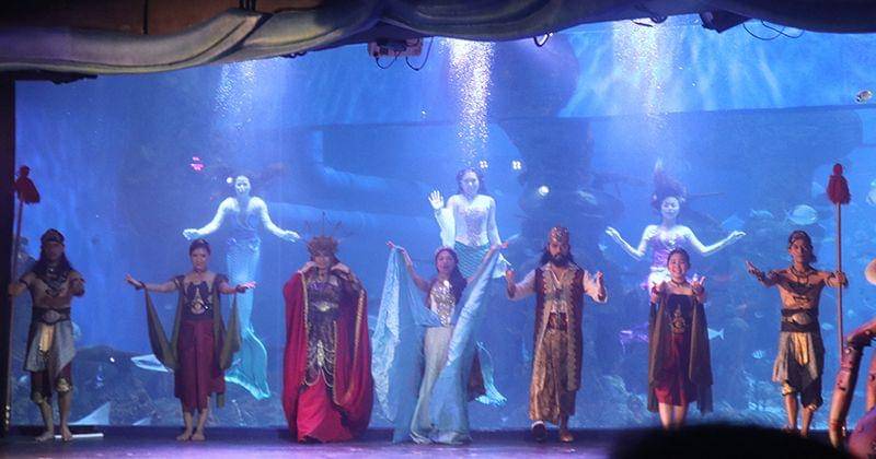 Popmama.com/Novy Agrina