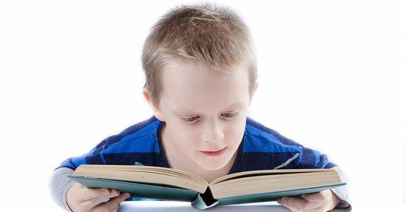 Pixabay/PublicDomainPictures