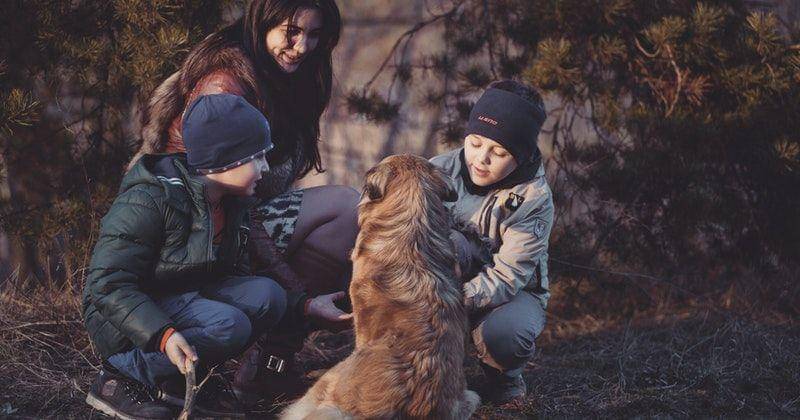 Pexels/Oleksandr Pidvalnyi