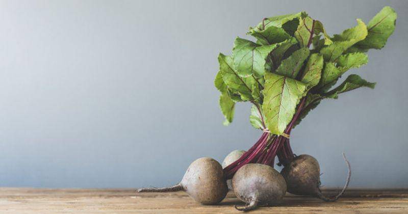 Freepik/Valeria_aksakova