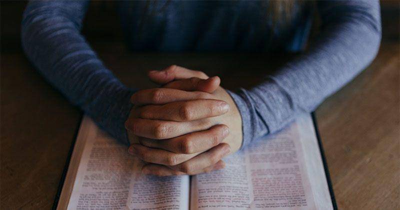 Unsplash/Patrick Fore