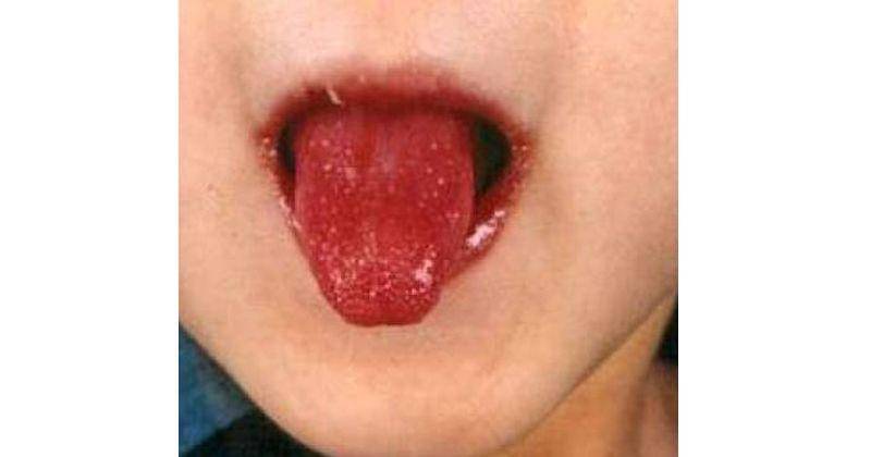 Commons.wikimedia.org