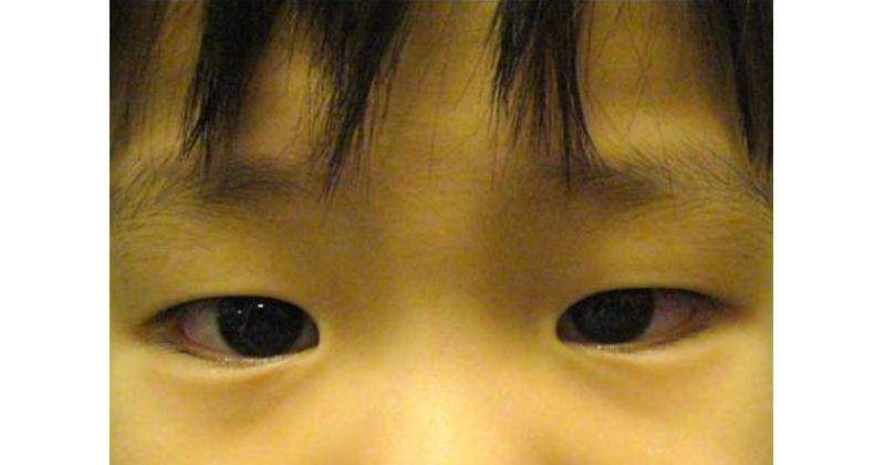 Commons.wikimedia.org