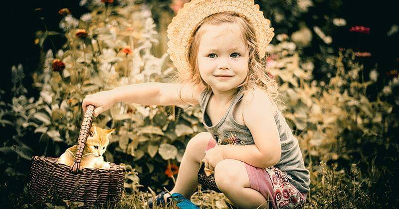 Pixabay/Mohamed_Hassan