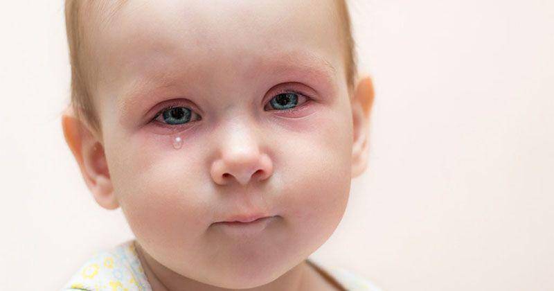 apakah warna mata bayi selalu sama dengan warna mata mama dan papa? - parenting.firstcry.com