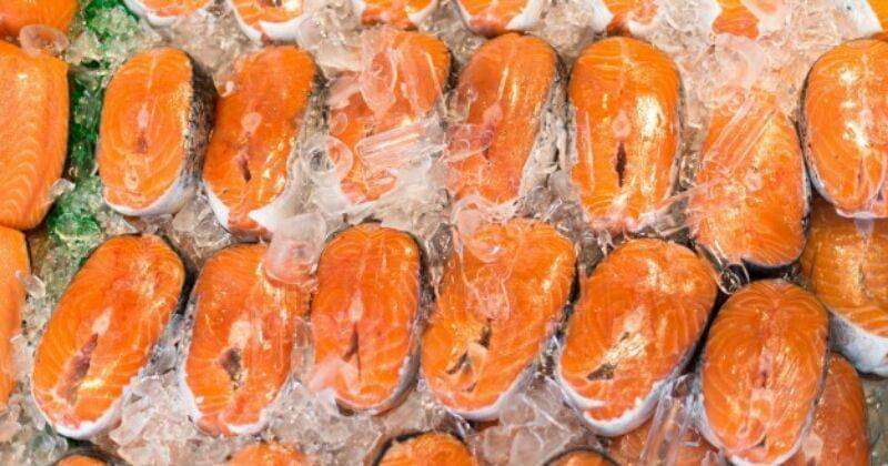 Freepik/Luis_molinero