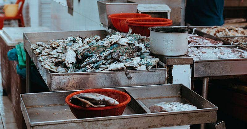 Unsplash/Annie Spratt