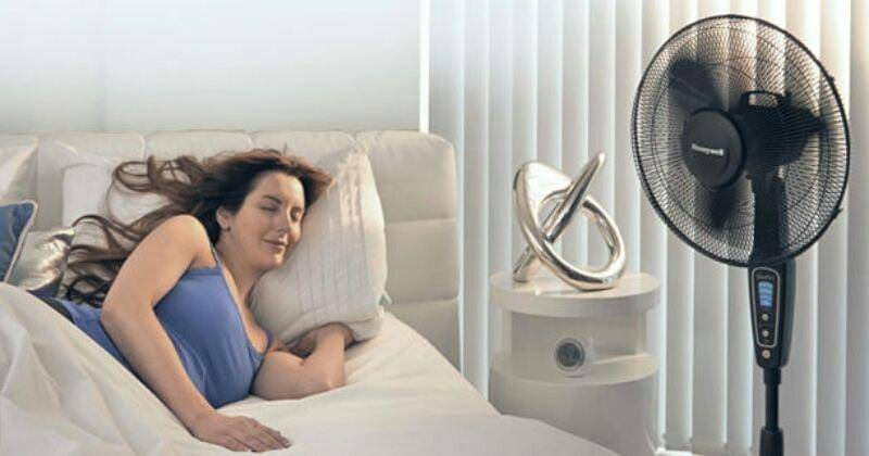 Butterflies and Wheels