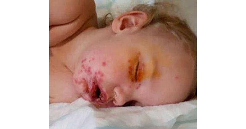 Dailymail.co.uk/Caters News Agency