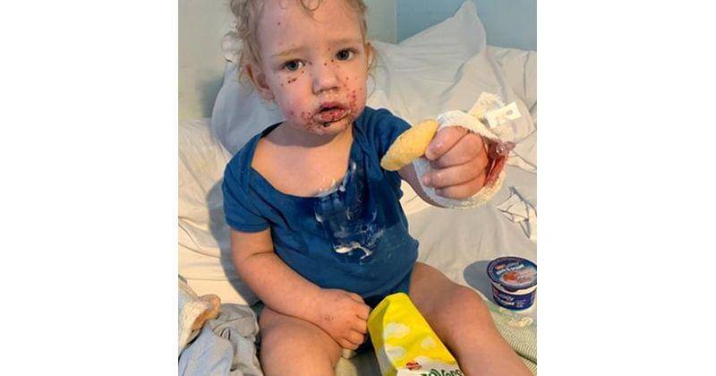 Dailymail.co.uk/Caters News Agency