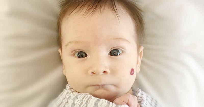 maxpixel.net/apple iphone 6