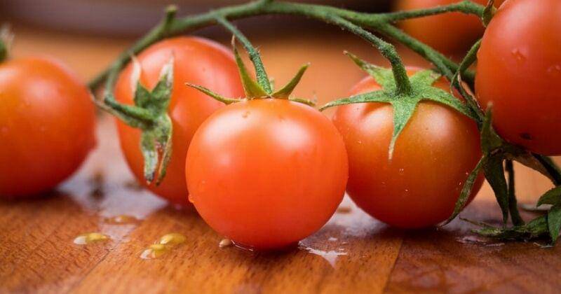 Unplash/Andrea Riezzo