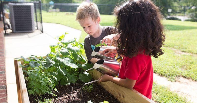Pekerjaan rumah untuk anak 6-8 tahun - guidepostmontessori.com
