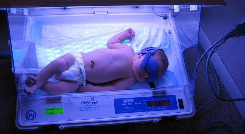 Flickr.com/shannonpatrick17