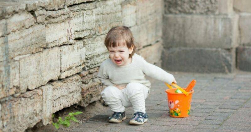 Freepik/Vasiliybudarin