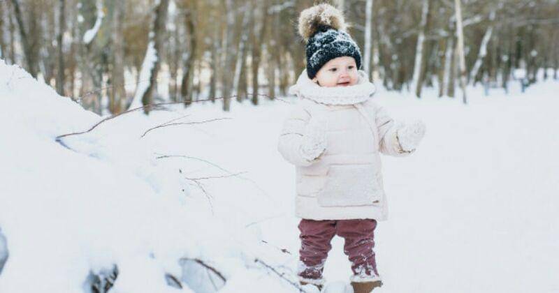 Freepik/bristekjegor