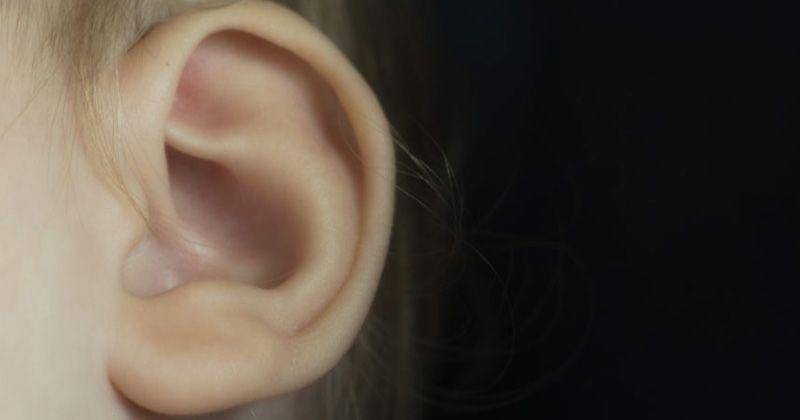 libreshot.com/martin vorel