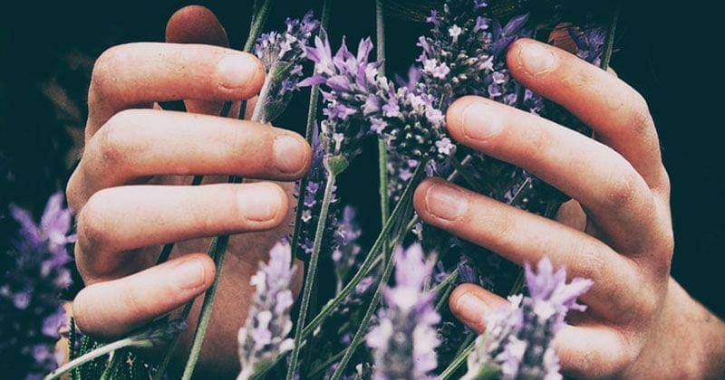 Unsplash/Vero Photoart