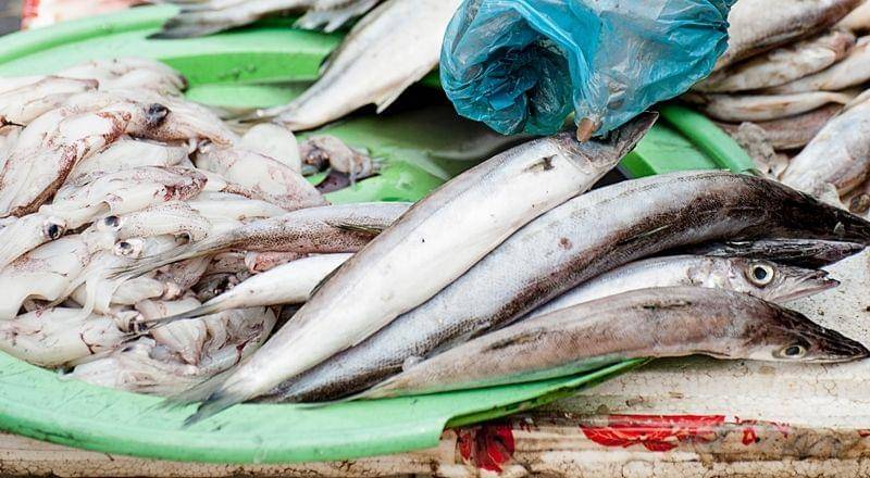 Unsplash.com/Oldskool Photography