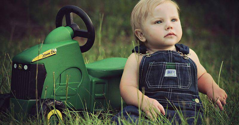 Pixabay/Greyerbaby