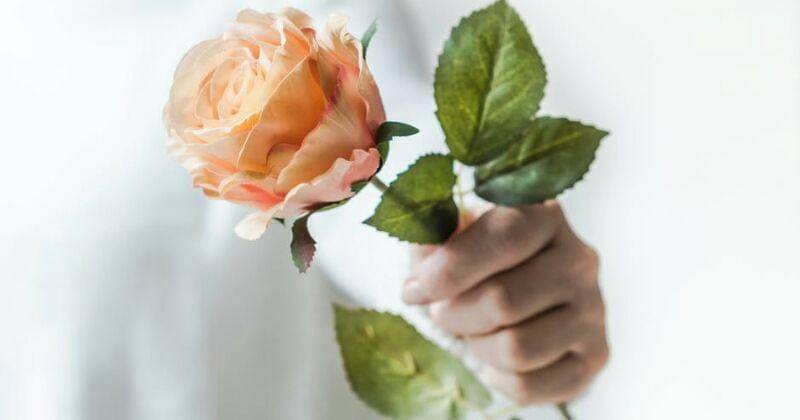 Pexels/Ylanite Koppens