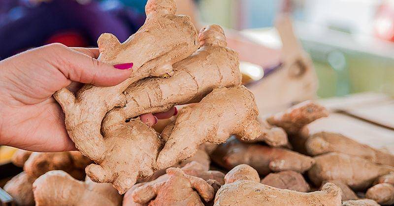 Freepik/Dragana_Gordic