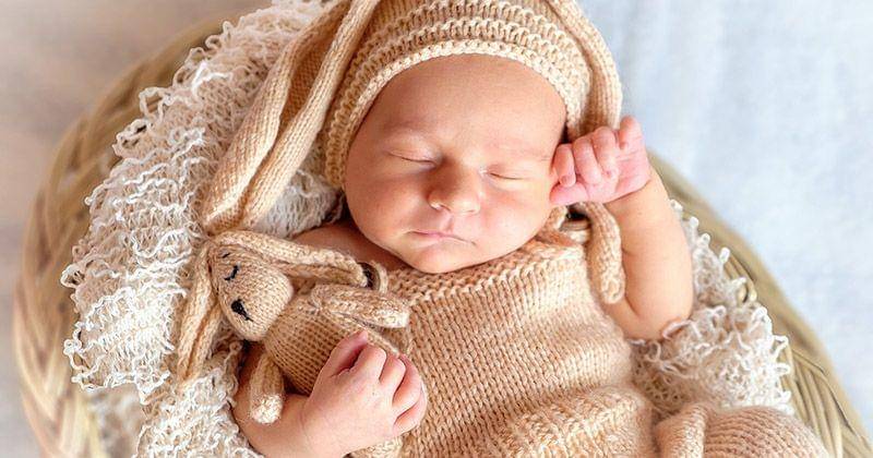 Pixabay/Marvelmozhko