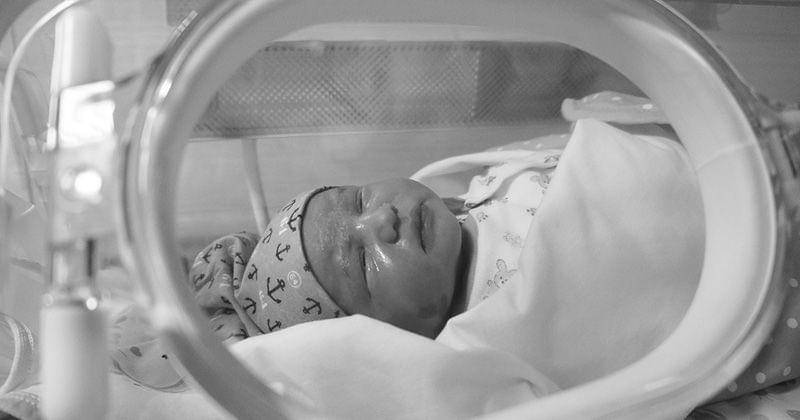 Pixabay/engin akyurt