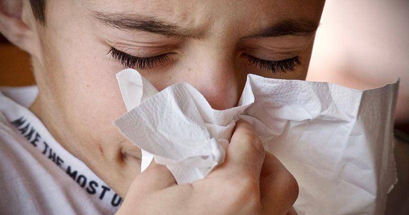 Pixabay/Luisella Planeta Leoni