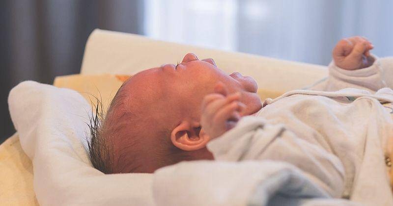 joker with card - Pixabay/StockSnap