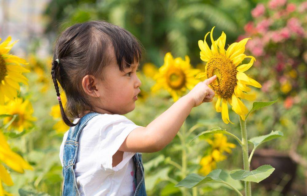 Shutterstock/SUKJAI Photo