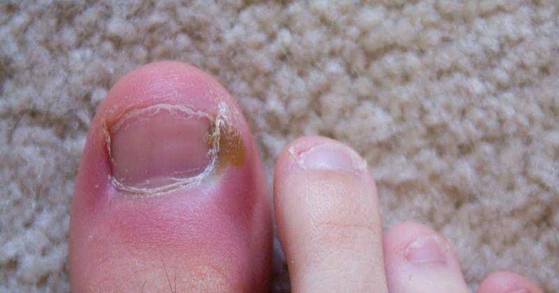 Youtube/IniInfoMenarik