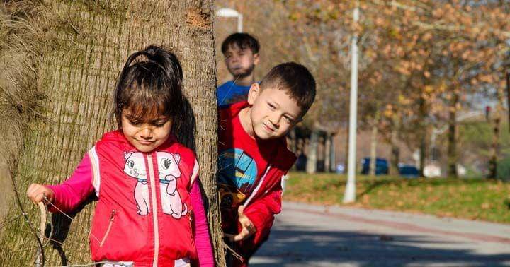 Pxhere/CC0 Public Domain