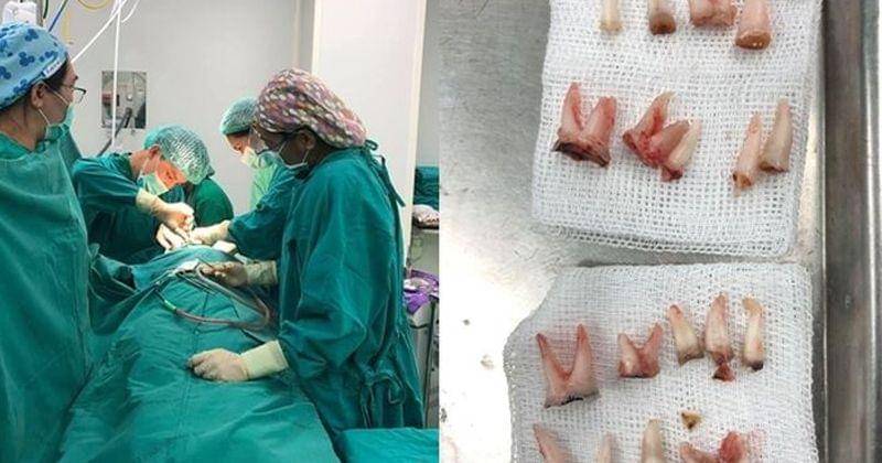 Facebook.com/sathian ken suraviskankul