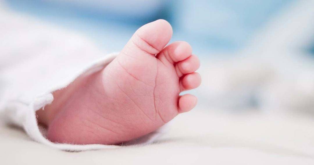 Pexels/ Dominika Roseclay