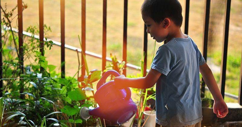 Pixabay/Phichit Wongsunthi