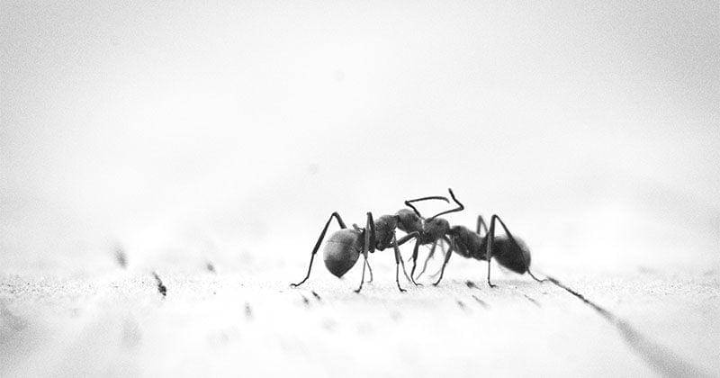 Unsplash/Thomas Kinto