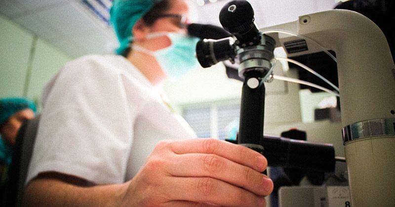 Freepik/Mario_luengo