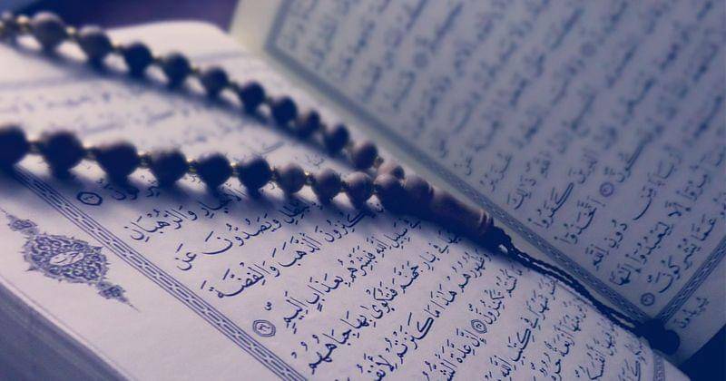 Pixabay/tayebmezahdia