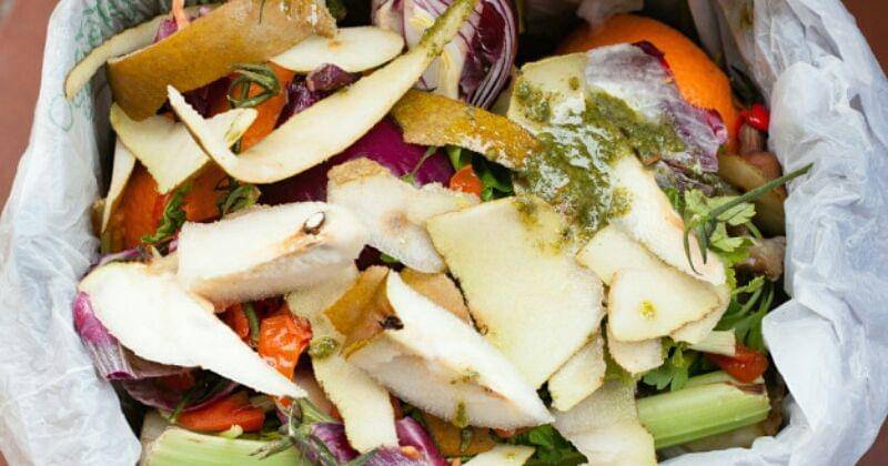 Freepik/antoniogravante