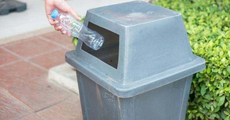 Freepik/chatchawan39