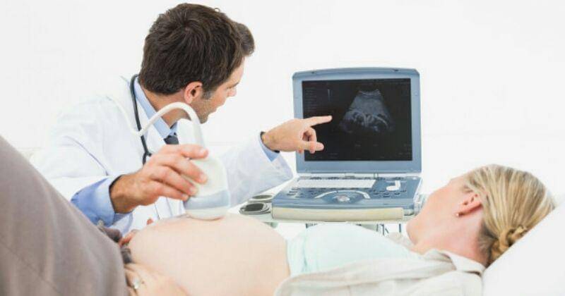 Freepik/Wavebreakmedia