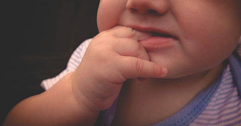 Pixabay/Alexas_Fotos