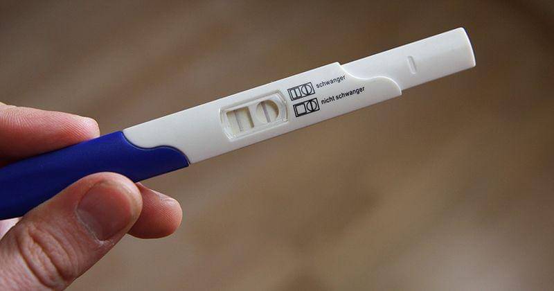 Pixabay/JuliaFiedler